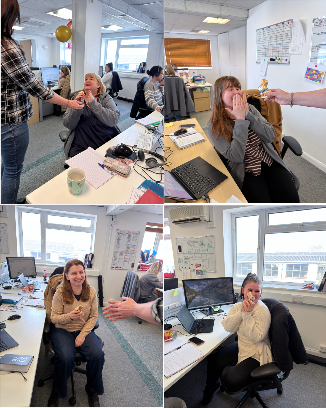 Acacia office staff easter Bunnies